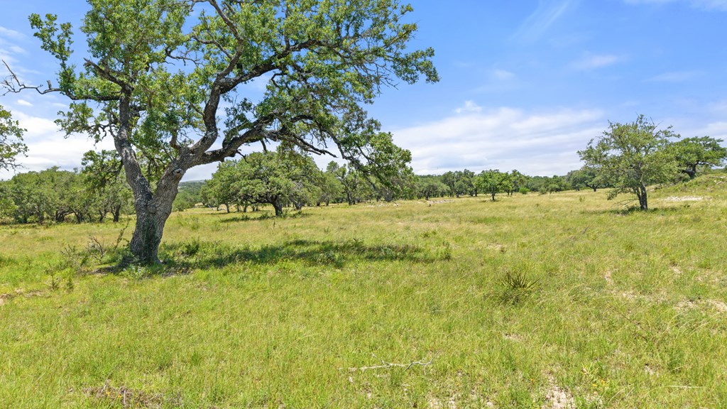 3 Lindeman Lane Blanco, TX 78606 - Photo 10 of 11 a view of yard with ocean and trees in the background