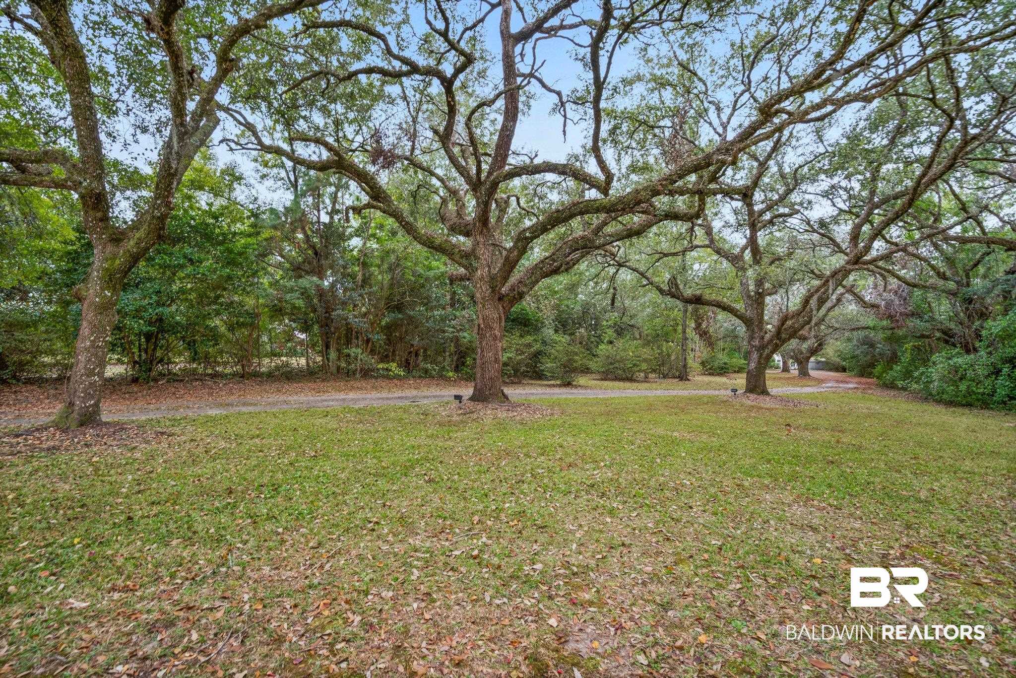 23561 Main Street Fairhope, AL 36532 - Photo 39 of 45 View of green lawn