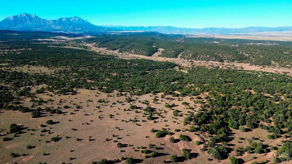 Tbd Bear Creek Road Walsenburg, CO 81089 - Photo 31 of 37