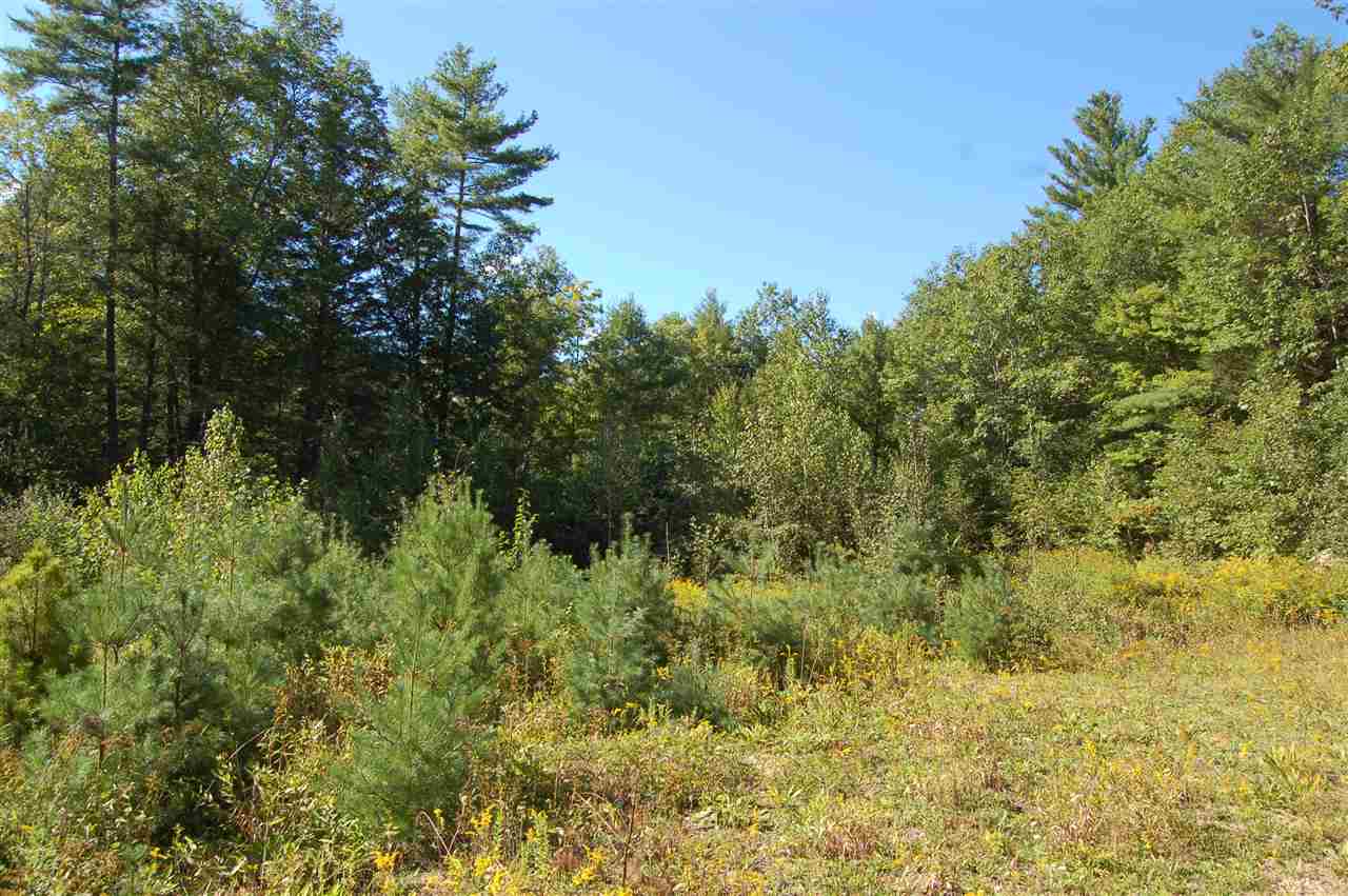0 Roby Road South Sutton, NH 03273 - Photo 6 of 12