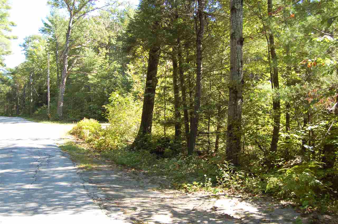 0 Roby Road South Sutton, NH 03273 - Photo 7 of 12