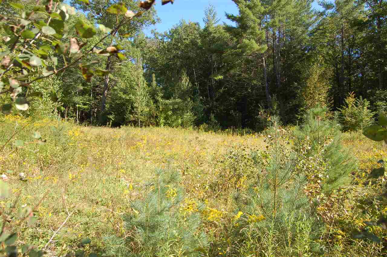 0 Roby Road South Sutton, NH 03273 - Photo 10 of 12