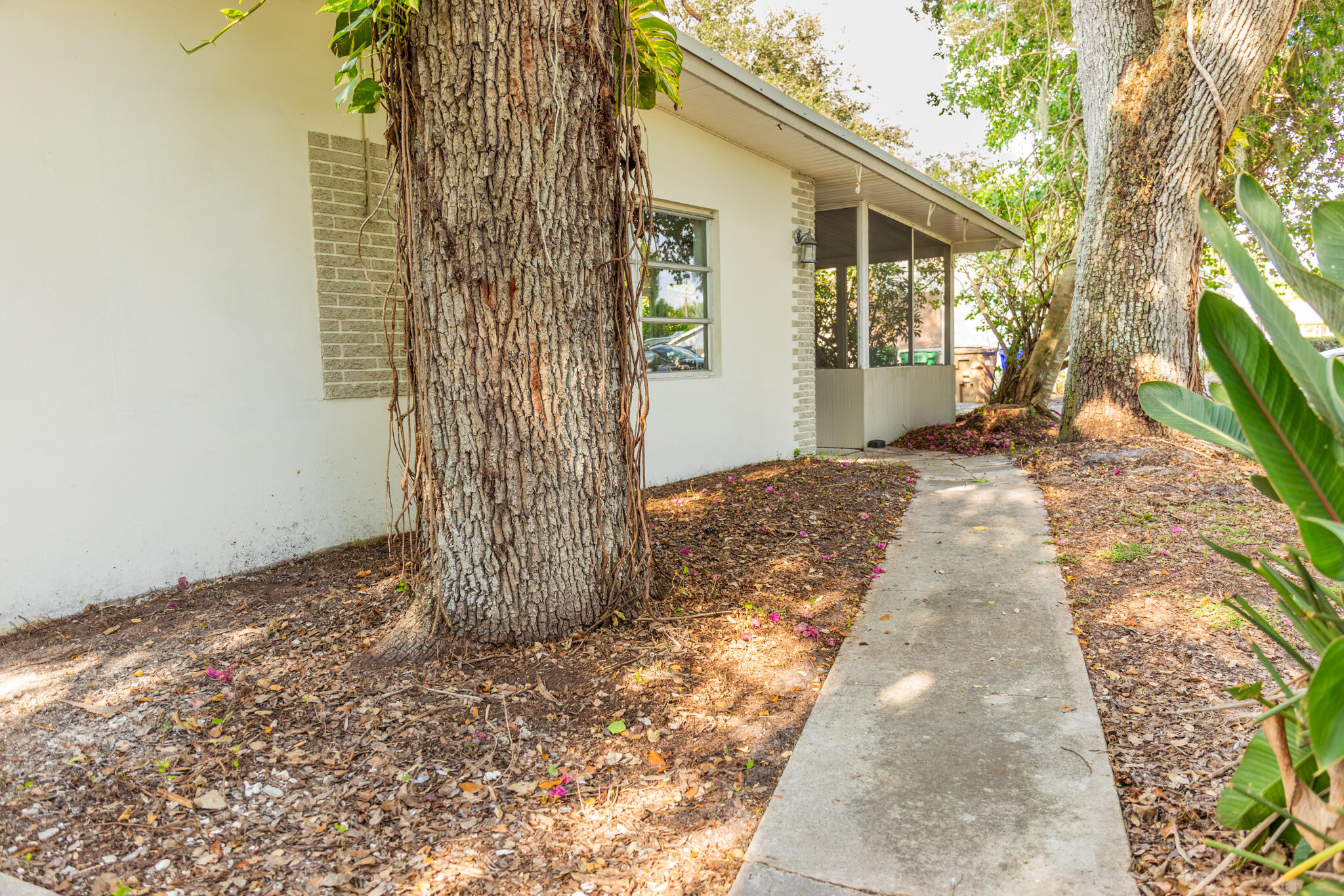 809 Southeast 10th Street Okeechobee, FL 34974 - Photo 6 of 37 Hardy Property-8