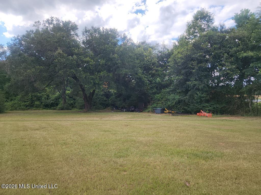 121 Molly Road Foxworth, MS 39483 - Photo 30 of 53 189199_48