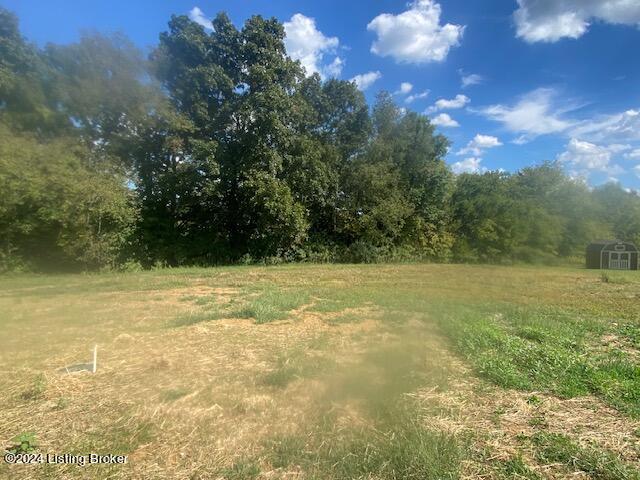 325 Caney Fork Road Bardstown, KY 40004 - Photo 21 of 23 Large Back Yard