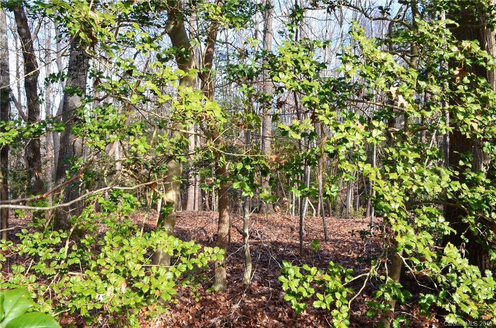 179 Roundstone Road, Unit 5 Troutman, NC 28166 - Photo 12 of 16 Gallery Image 12