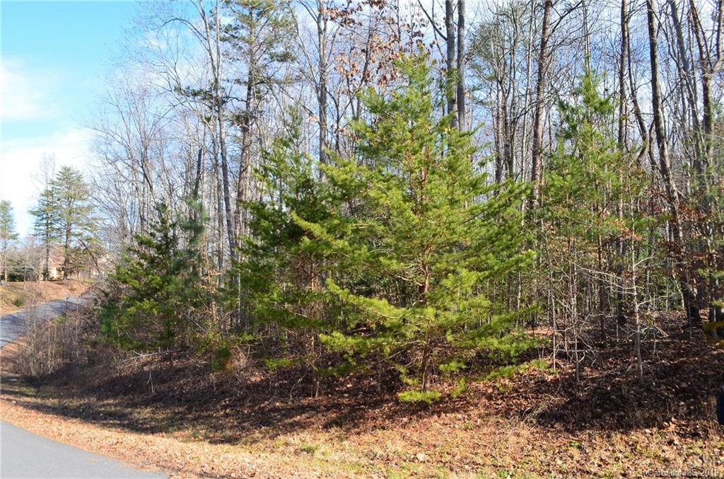 179 Roundstone Road, Unit 5 Troutman, NC 28166 - Photo 4 of 16 Gallery Image 4