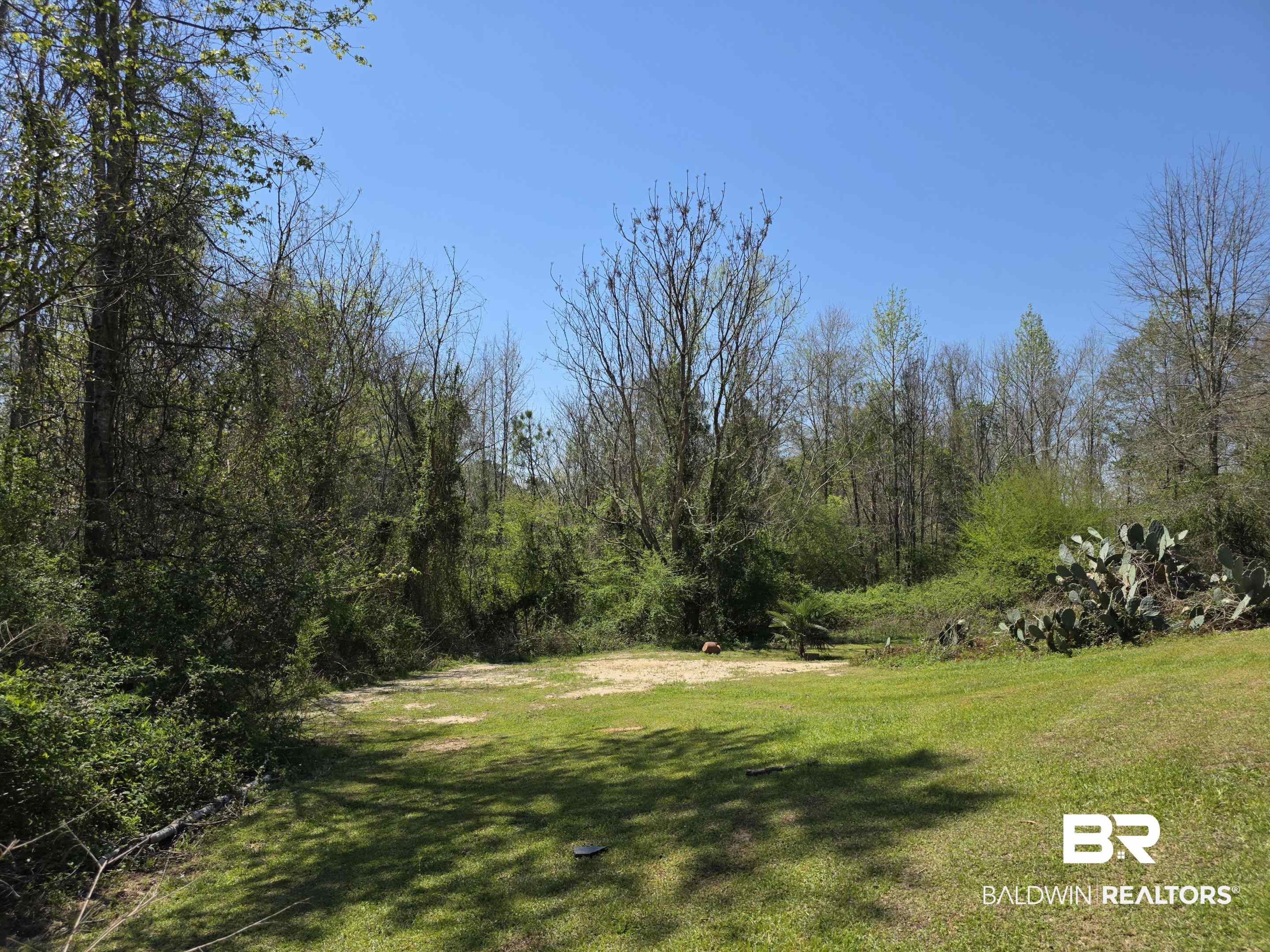 11 Coal Fire Road Jackson, AL 36545 - Photo 7 of 23 View of green lawn