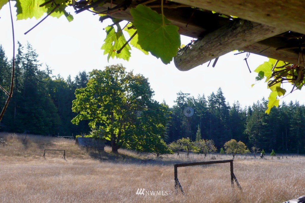 1065 Circle Road Eastsound, WA 98245 - Photo 8 of 25 Gallery Image 8