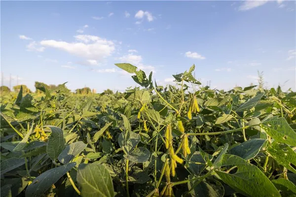 $299,999 | East 291st Street, Harrisonville, MO 64701