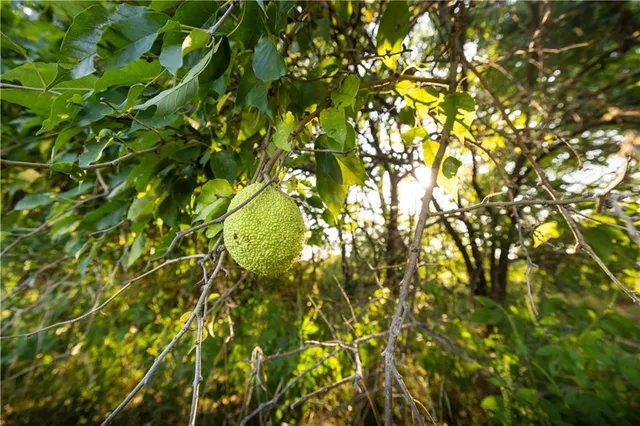 $299,999 | East 291st Street, Harrisonville, MO 64701