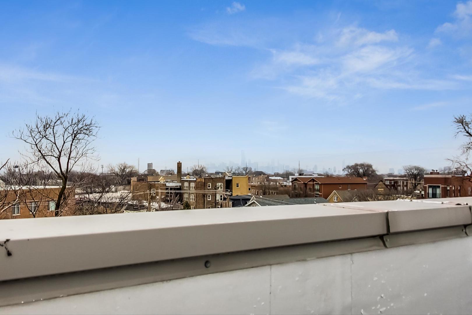 3605 South Leavitt Street, Unit 3 Chicago, IL 60609 - Photo 20 of 22