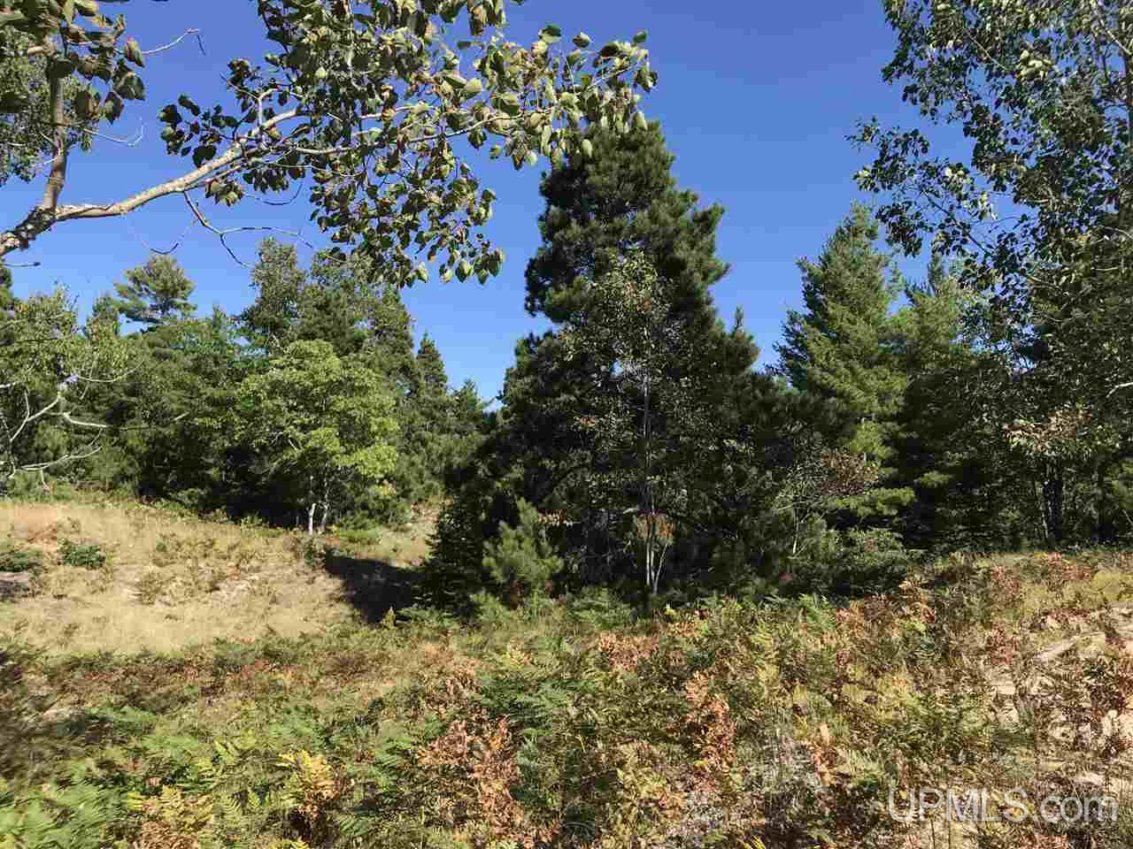 Tbd Five Mile Point Road, Unit 38 10 ACRES Allouez, MI 49805 - Photo 1 of 13