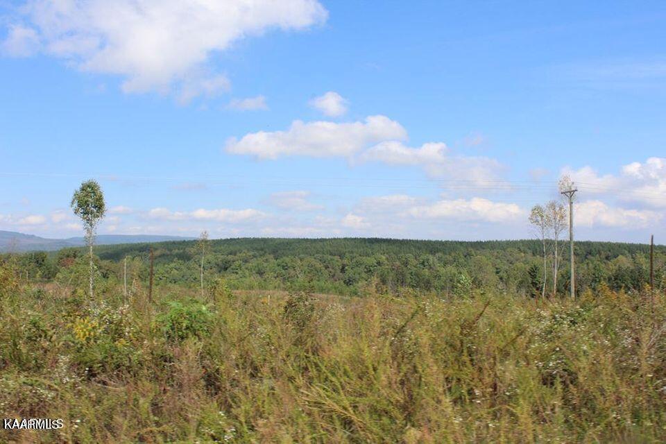 Shut In Gap Road Rd Spring Spring City, TN 37381 - Photo 1 of 16 20211105154914299079000000-o