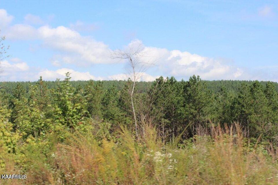 Shut In Gap Road Rd Spring Spring City, TN 37381 - Photo 14 of 16 20211105154929506277000000-o