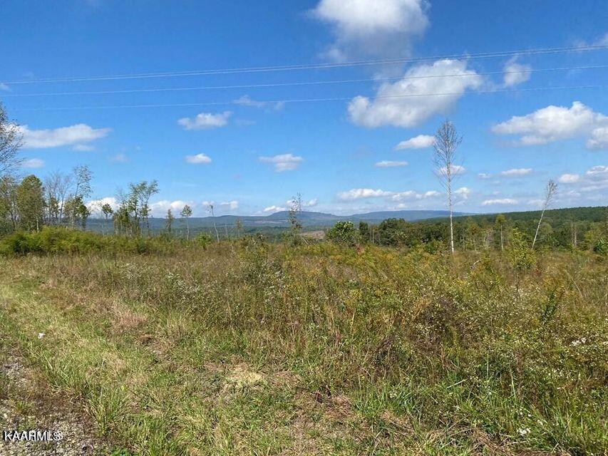 Shut In Gap Road Rd Spring Spring City, TN 37381 - Photo 3 of 16 20211105154917470283000000-o