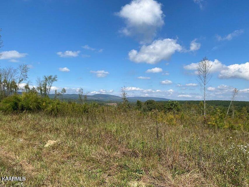 Shut In Gap Road Rd Spring Spring City, TN 37381 - Photo 4 of 16 20211105154918627551000000-o