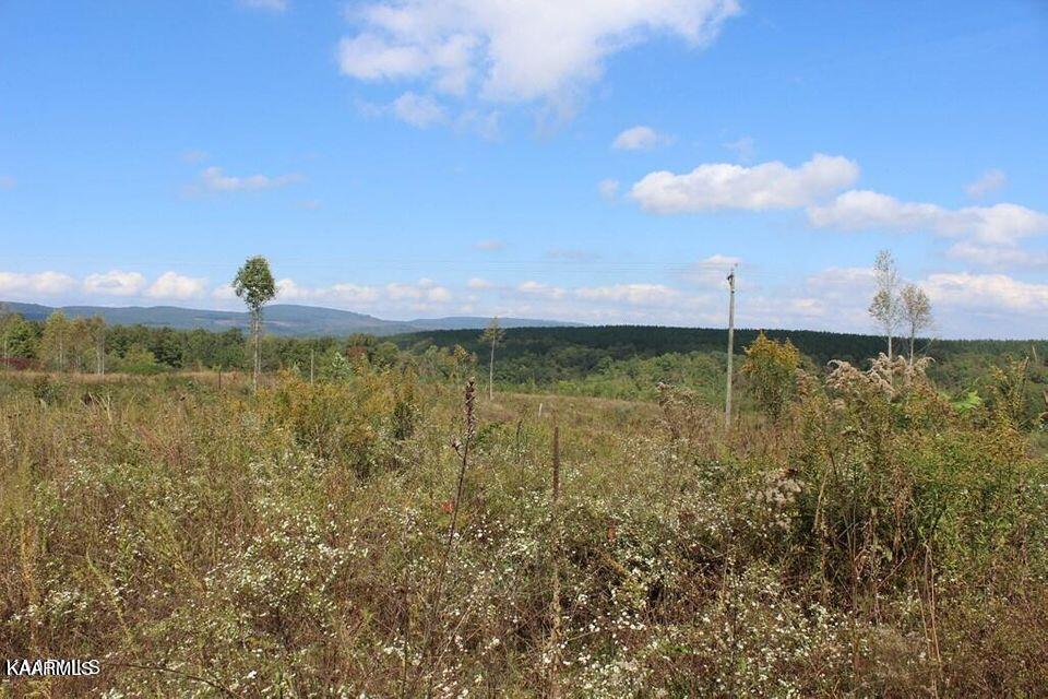 Shut In Gap Road Rd Spring Spring City, TN 37381 - Photo 7 of 16 20211105154921459809000000-o