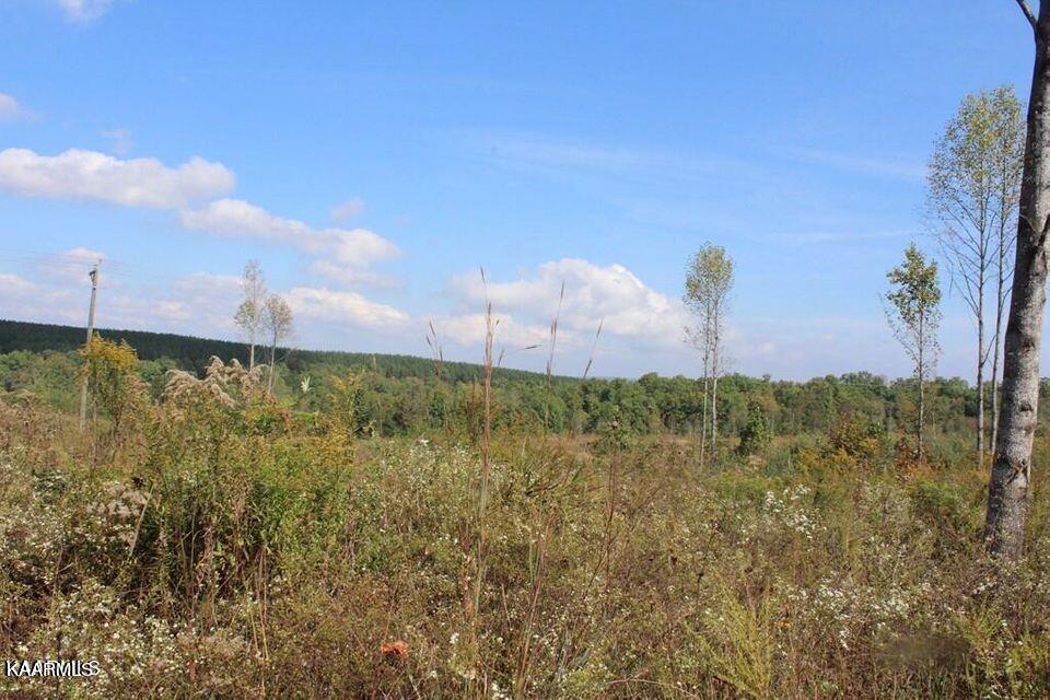 Shut In Gap Road Rd Spring Spring City, TN 37381 - Photo 8 of 16 20211105154922387693000000-o