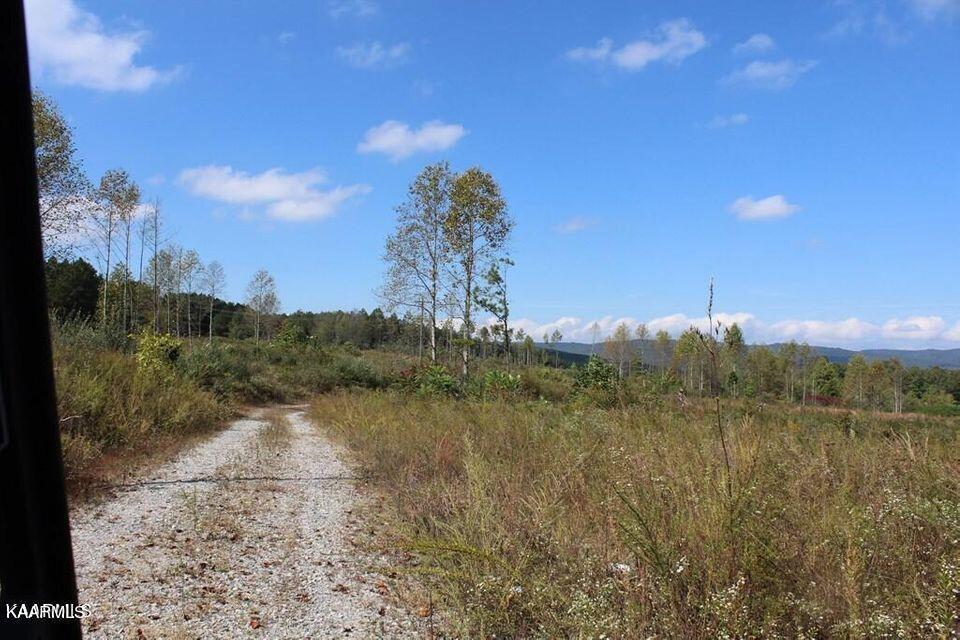 Shut In Gap Road Rd Spring Spring City, TN 37381 - Photo 9 of 16 20211105154923377523000000-o