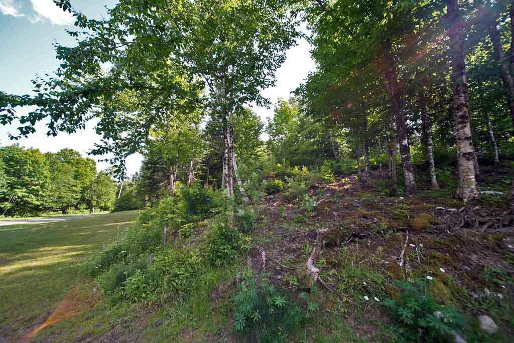 72 Albert Lane Ludlow, ME 04730 - Photo 69 of 84 ludlow-me-home-land