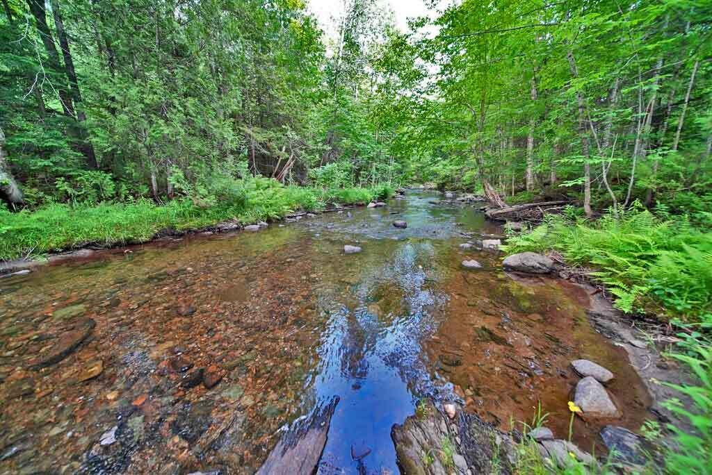 72 Albert Lane Ludlow, ME 04730 - Photo 83 of 84 mill-stream-ludlow-maine