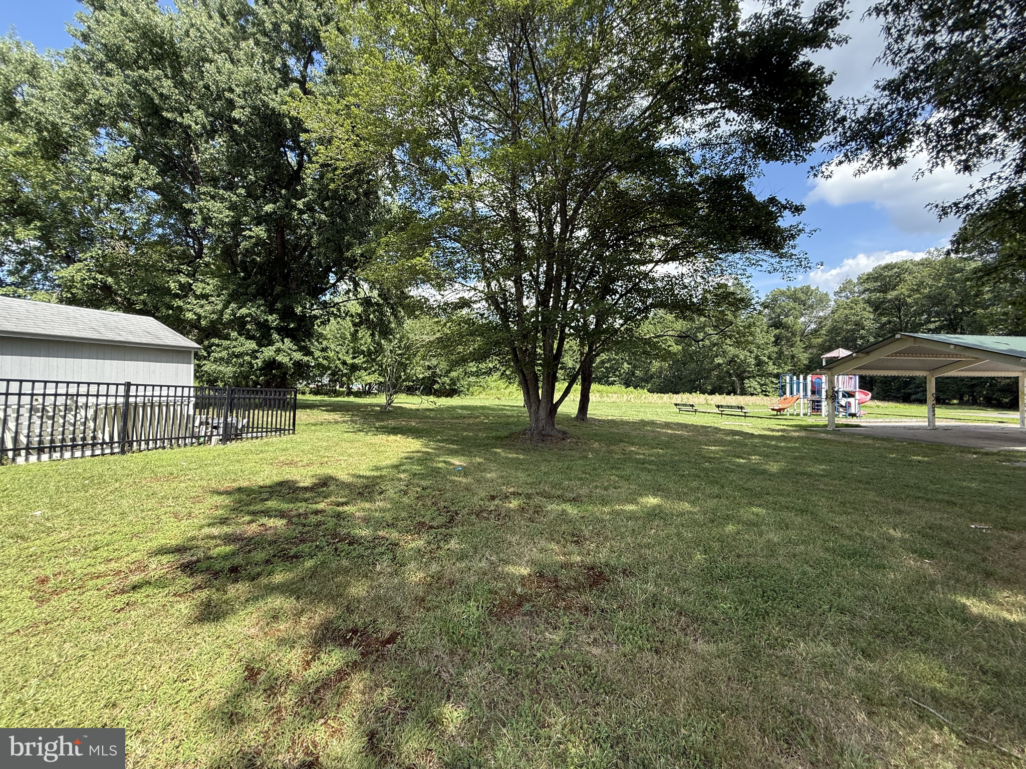 20 Chestnut Drive Elkton, MD 21921 - Photo 59 of 68 a view of a trees in front of a house with a big yard