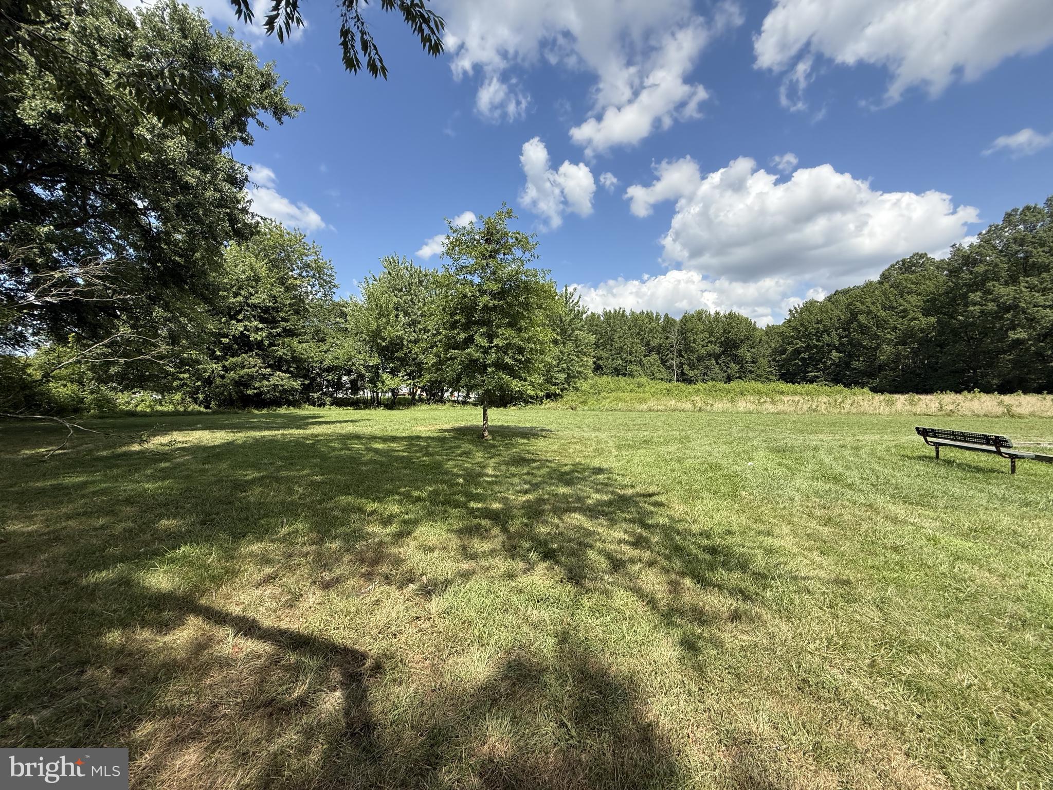 20 Chestnut Drive Elkton, MD 21921 - Photo 62 of 68 a view of a green field with lots of bushes