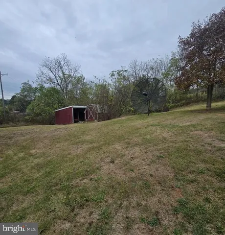 a view of a dry yard with trees