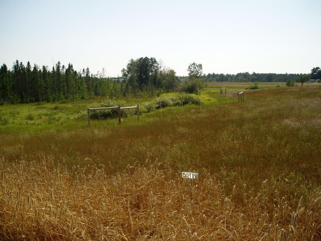 Lot 1 Holst Lane Springbrook, WI 54875 - Photo 1 of 1 Gallery Image 1