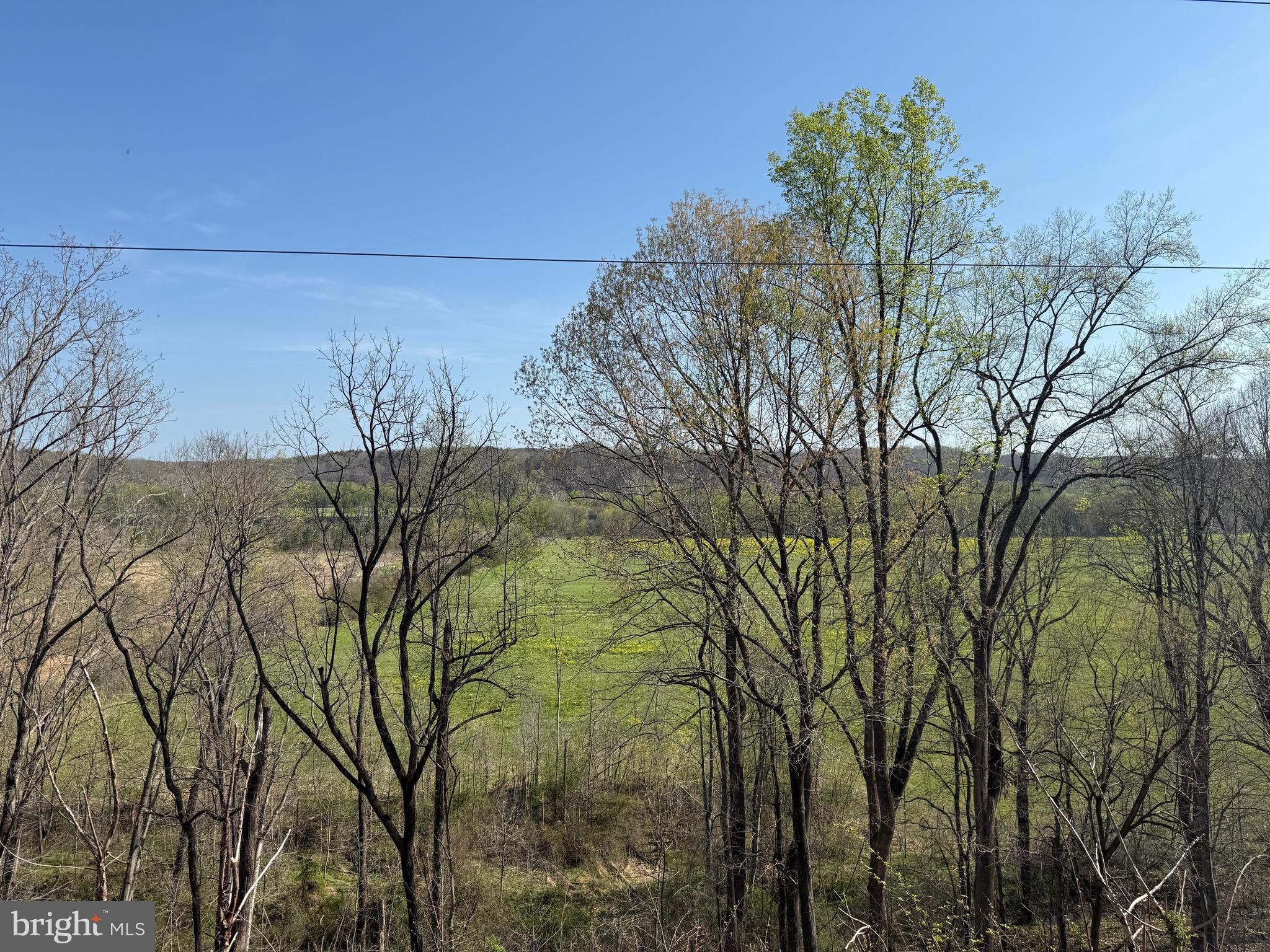 0 Paynes Pond Road Scottsville, VA 24590 - Photo 12 of 71