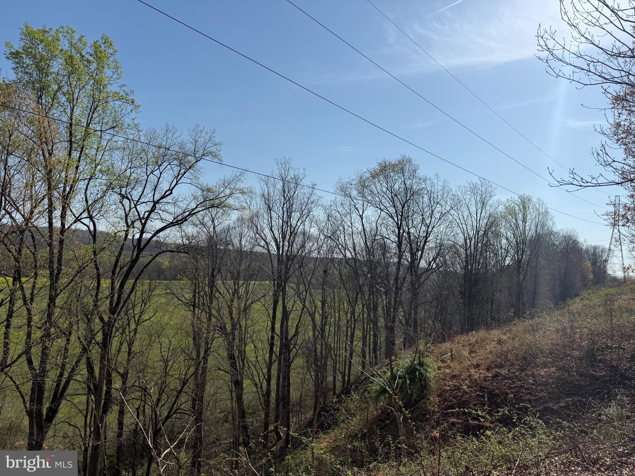 0 Paynes Pond Road Scottsville, VA 24590 - Photo 13 of 71