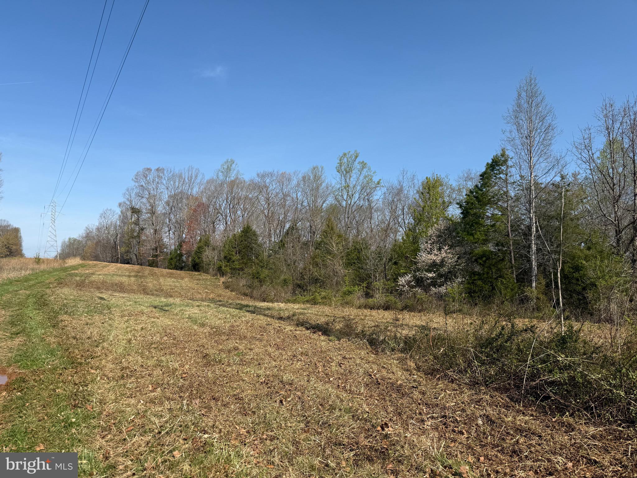 0 Paynes Pond Road Scottsville, VA 24590 - Photo 15 of 71