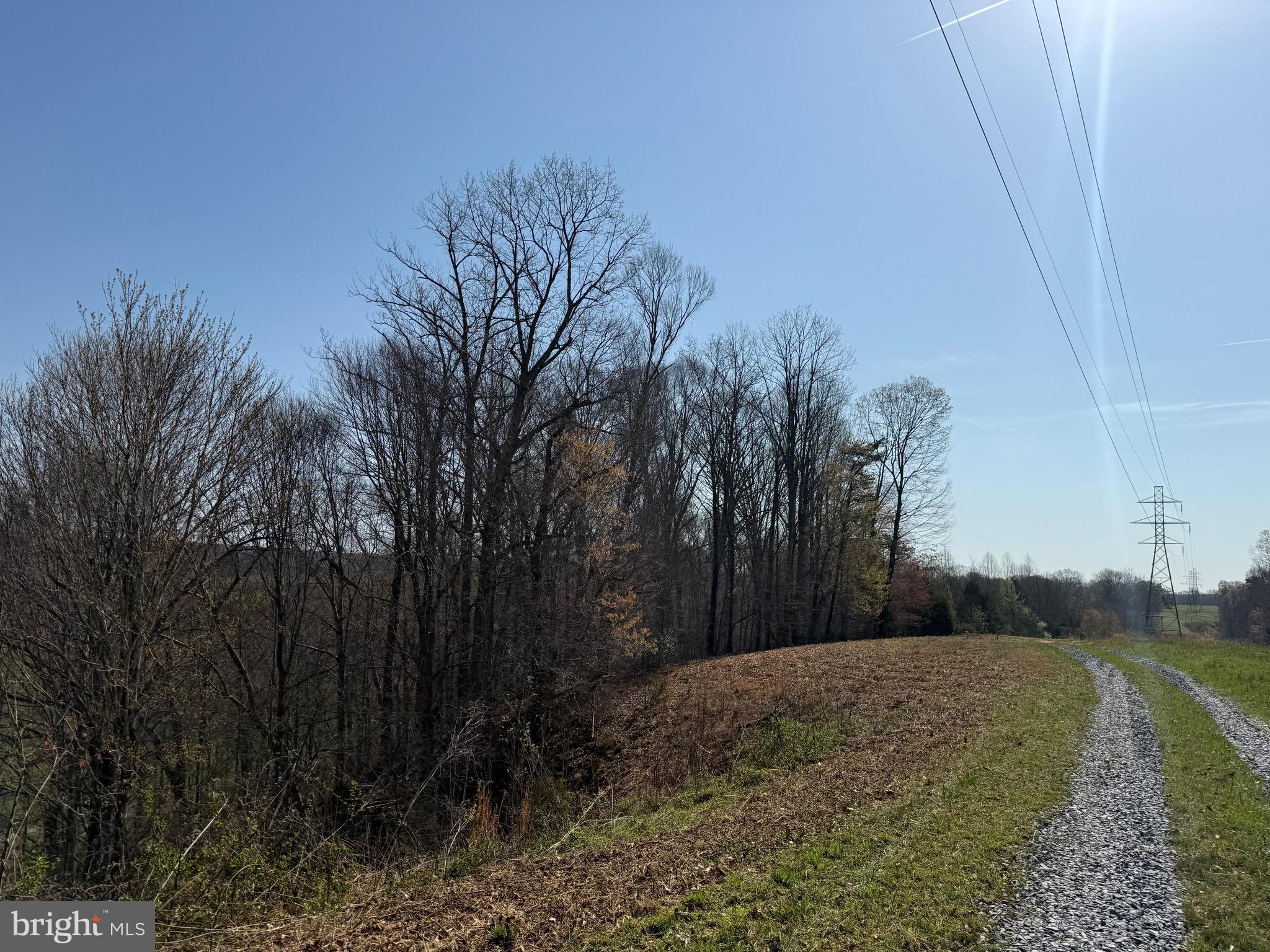 0 Paynes Pond Road Scottsville, VA 24590 - Photo 16 of 71