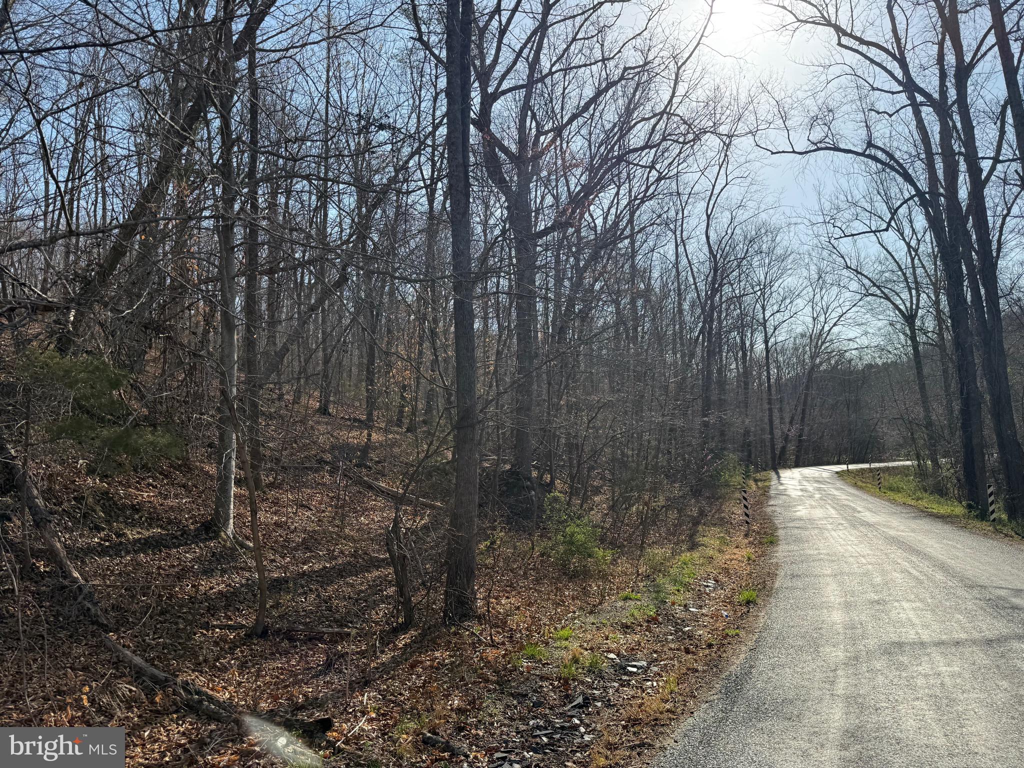 0 Paynes Pond Road Scottsville, VA 24590 - Photo 17 of 71