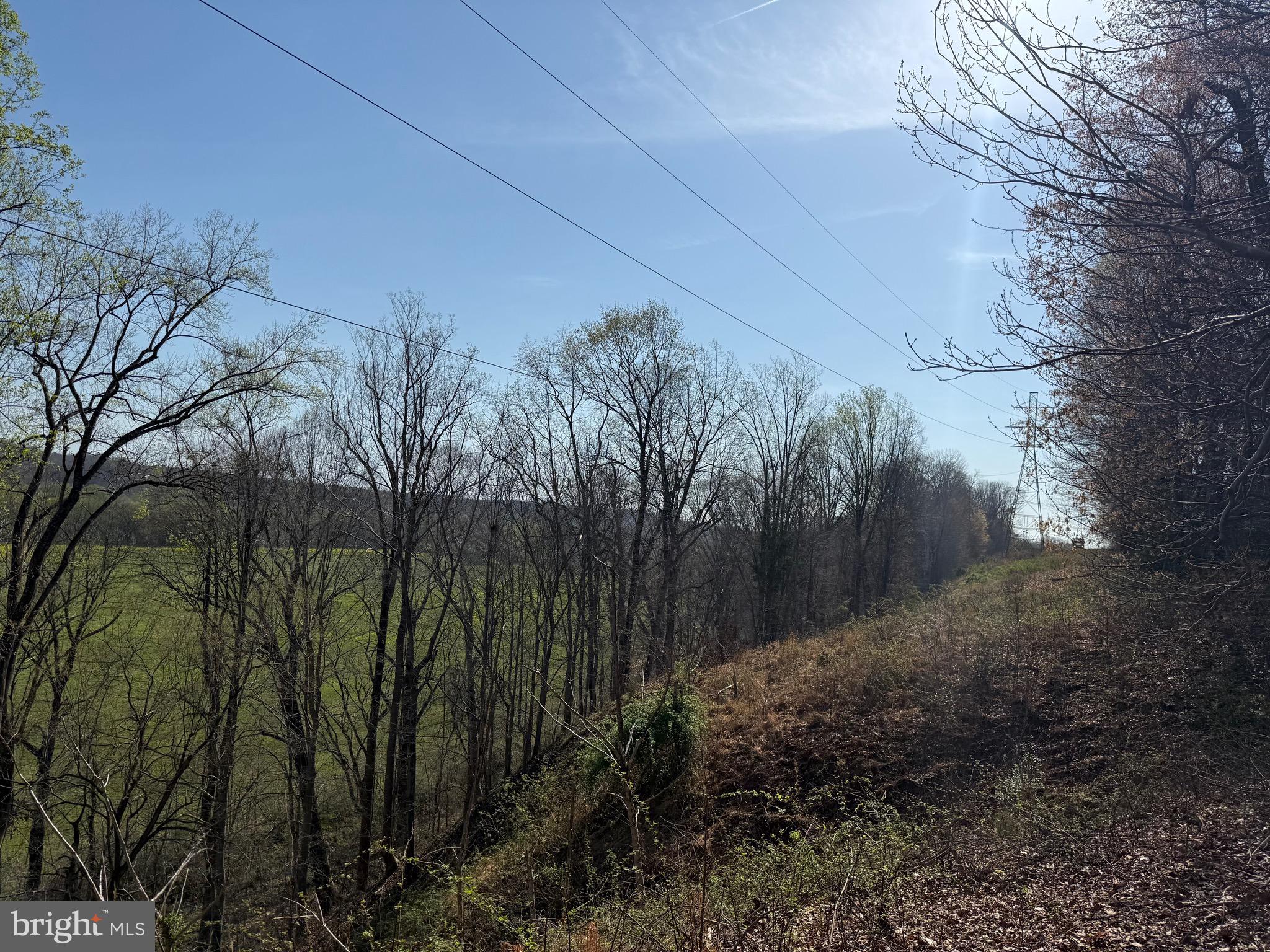 0 Paynes Pond Road Scottsville, VA 24590 - Photo 19 of 71