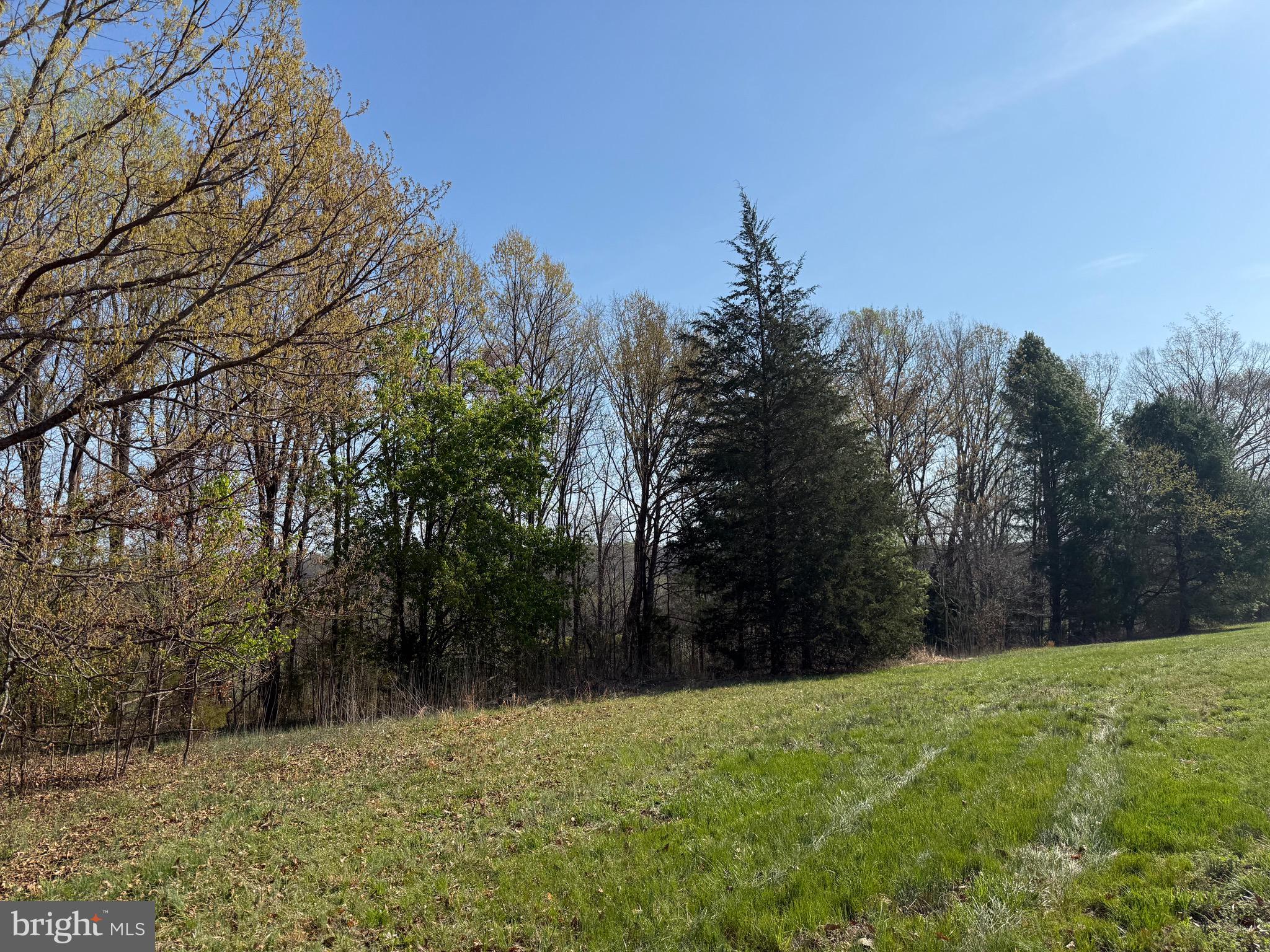 0 Paynes Pond Road Scottsville, VA 24590 - Photo 20 of 71