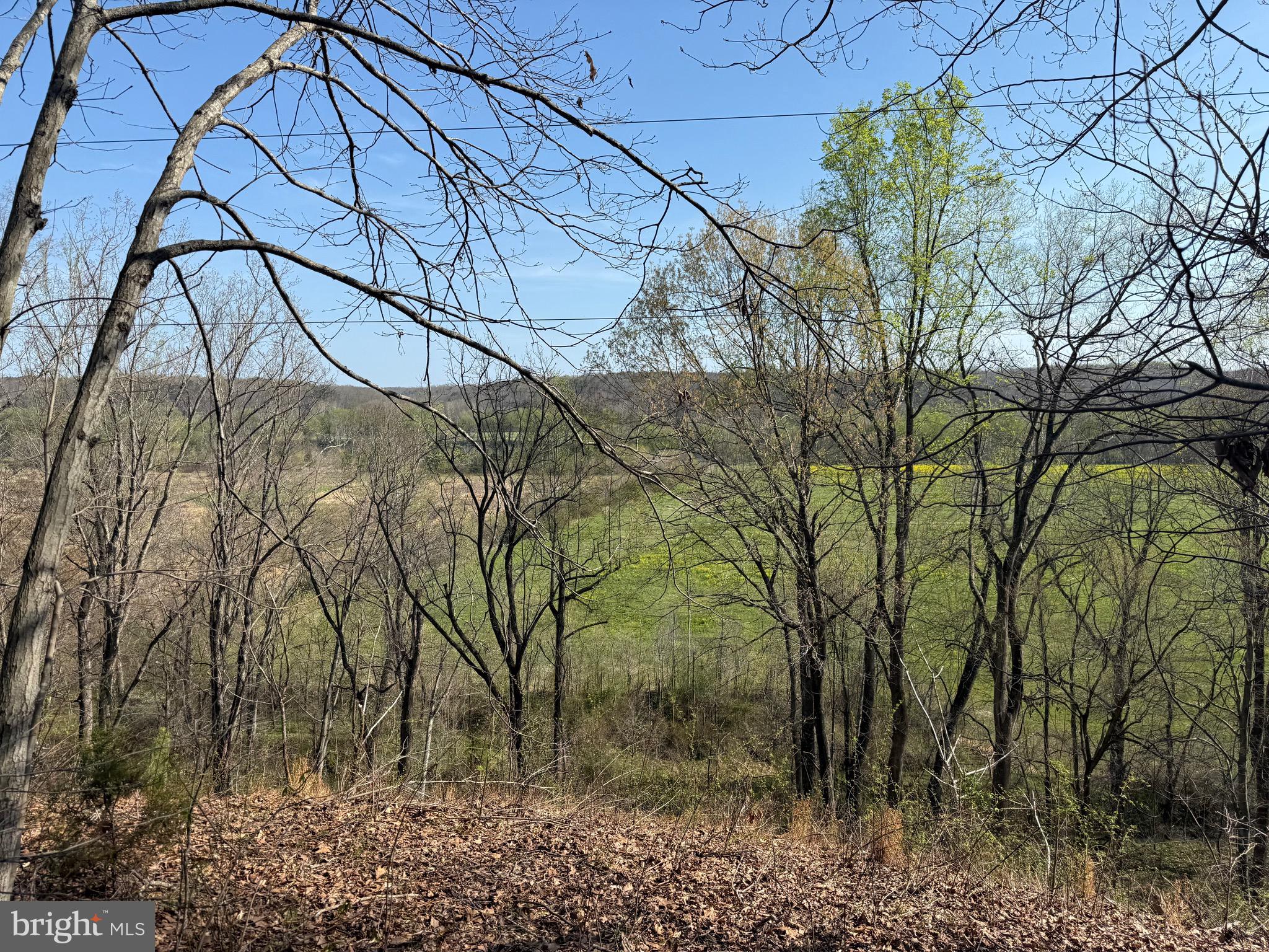 0 Paynes Pond Road Scottsville, VA 24590 - Photo 21 of 71