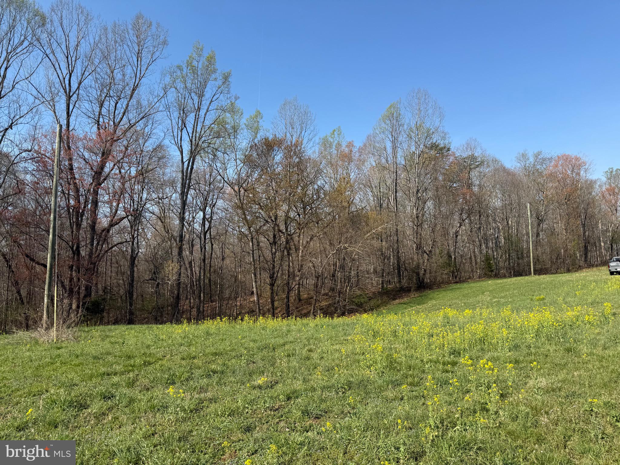 0 Paynes Pond Road Scottsville, VA 24590 - Photo 22 of 71