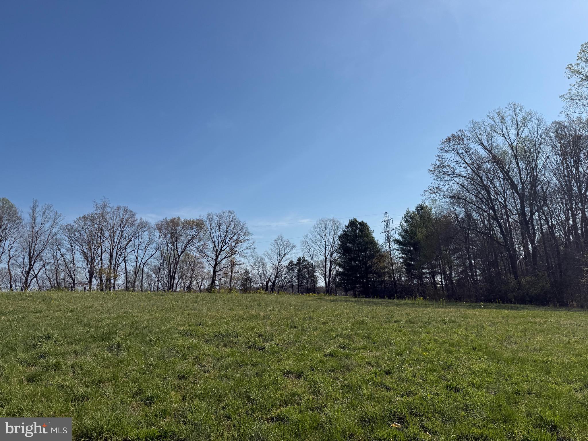 0 Paynes Pond Road Scottsville, VA 24590 - Photo 24 of 71