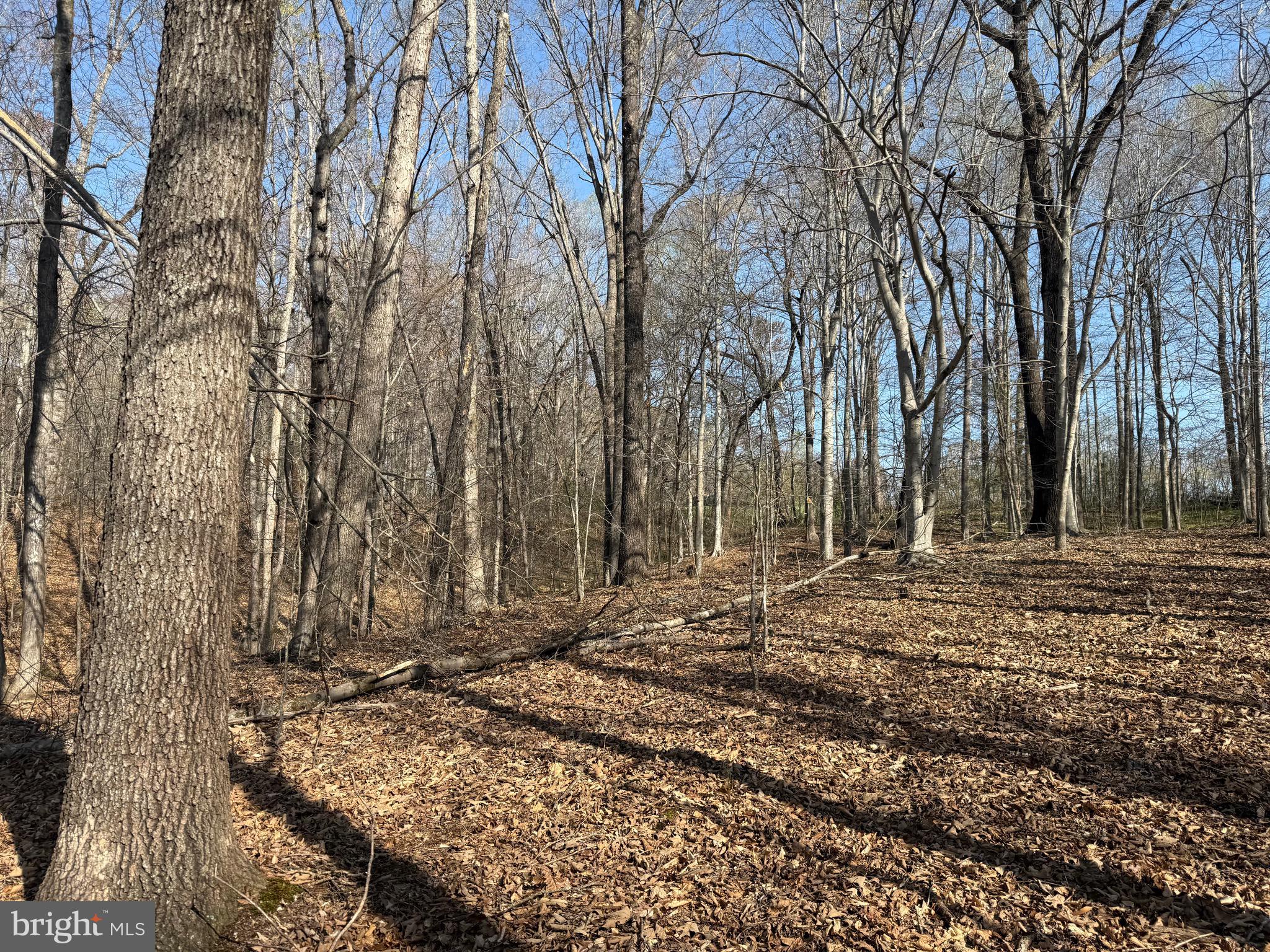 0 Paynes Pond Road Scottsville, VA 24590 - Photo 25 of 71