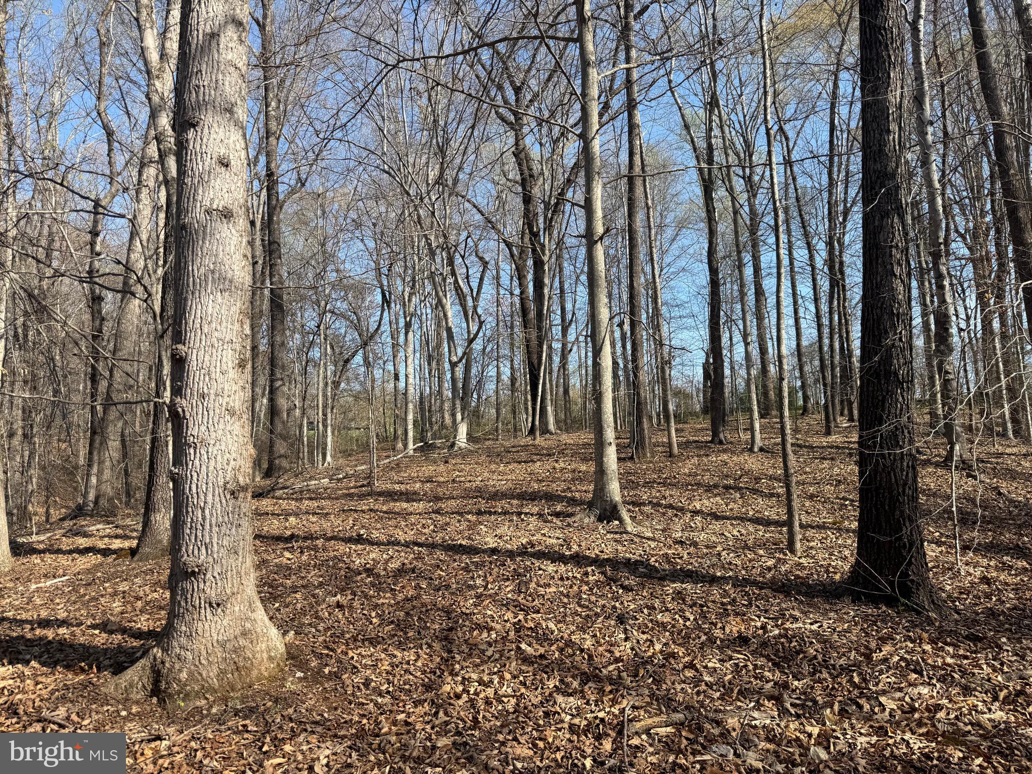 0 Paynes Pond Road Scottsville, VA 24590 - Photo 26 of 71