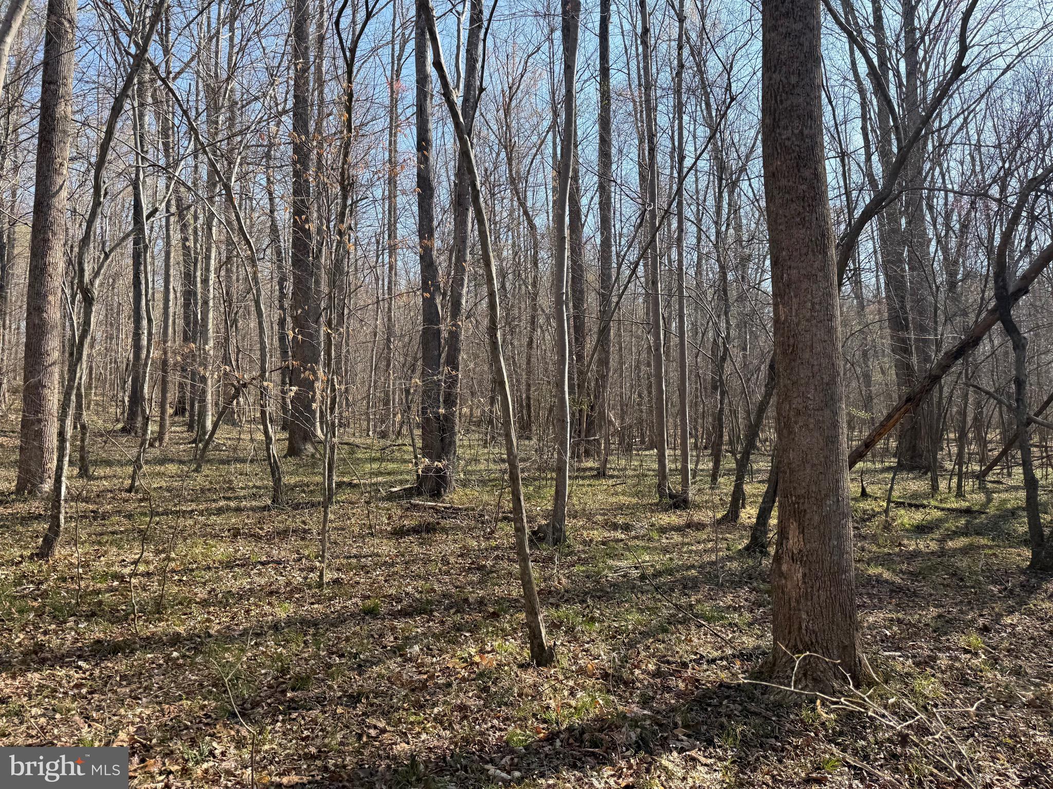 0 Paynes Pond Road Scottsville, VA 24590 - Photo 27 of 71