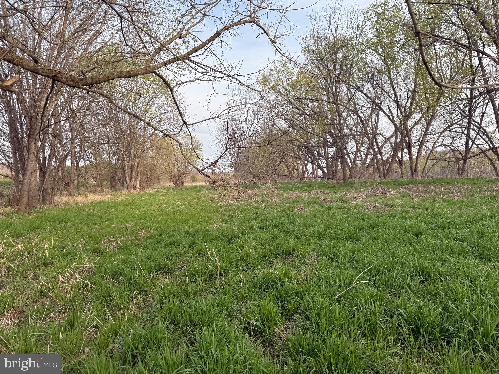 0 Paynes Pond Road Scottsville, VA 24590 - Photo 28 of 71