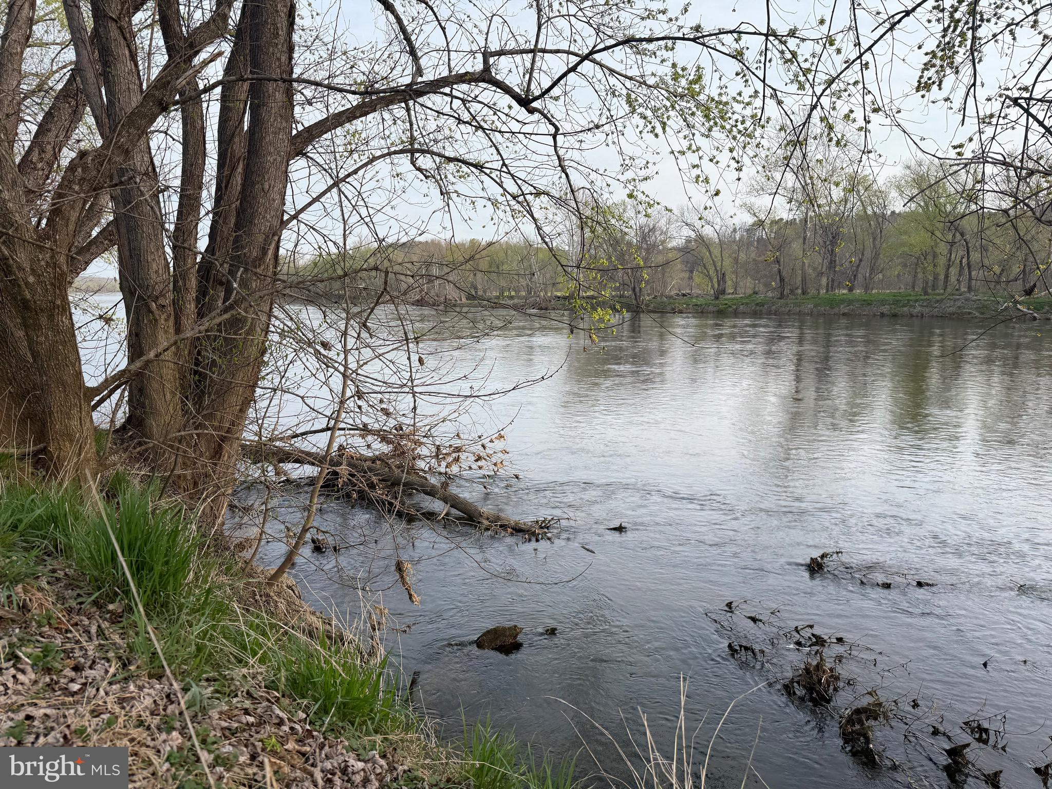 0 Paynes Pond Road Scottsville, VA 24590 - Photo 29 of 71
