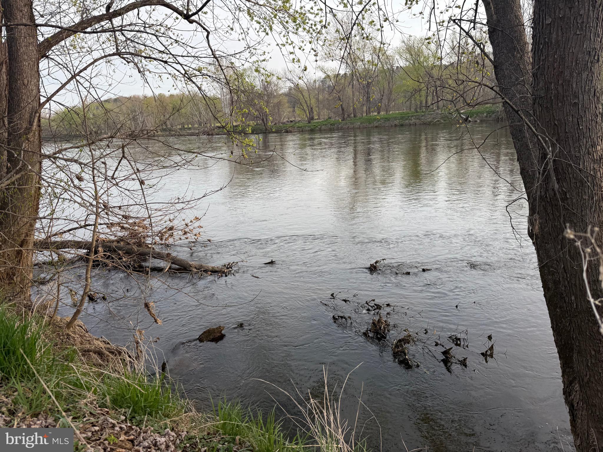 0 Paynes Pond Road Scottsville, VA 24590 - Photo 30 of 71