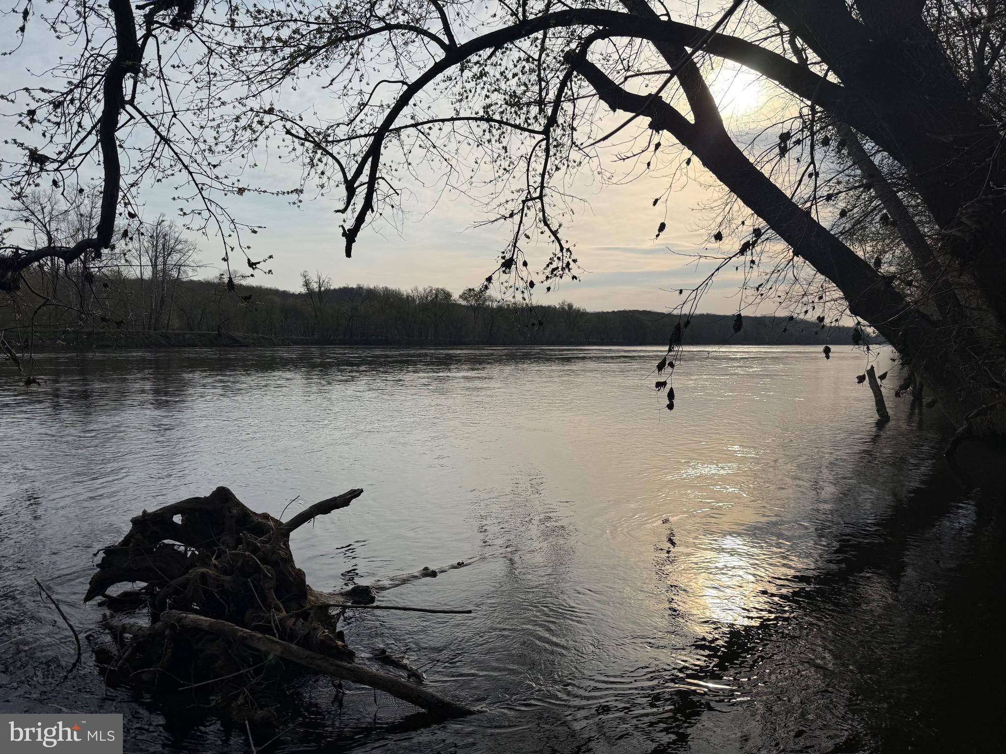 0 Paynes Pond Road Scottsville, VA 24590 - Photo 31 of 71