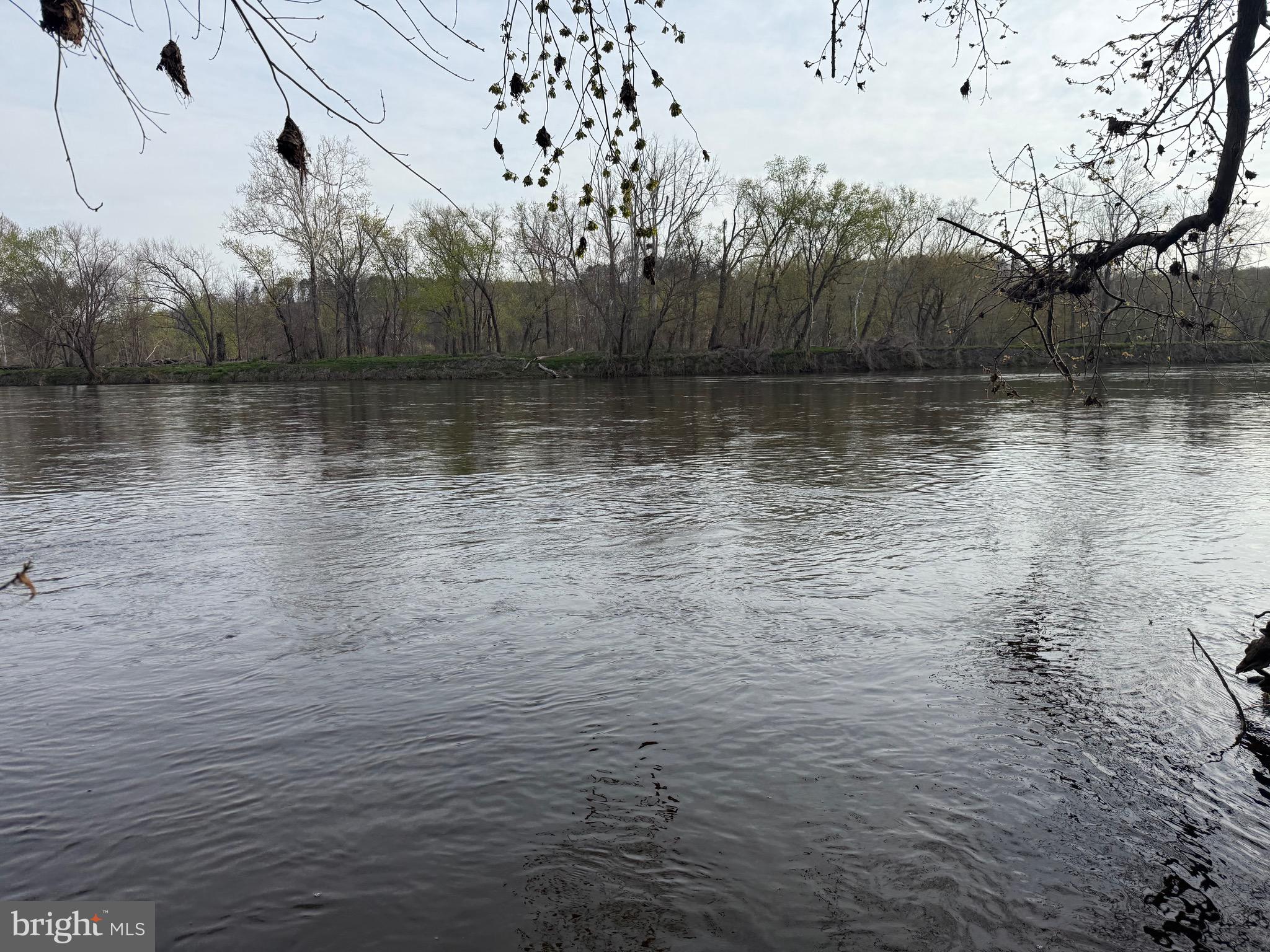 0 Paynes Pond Road Scottsville, VA 24590 - Photo 32 of 71