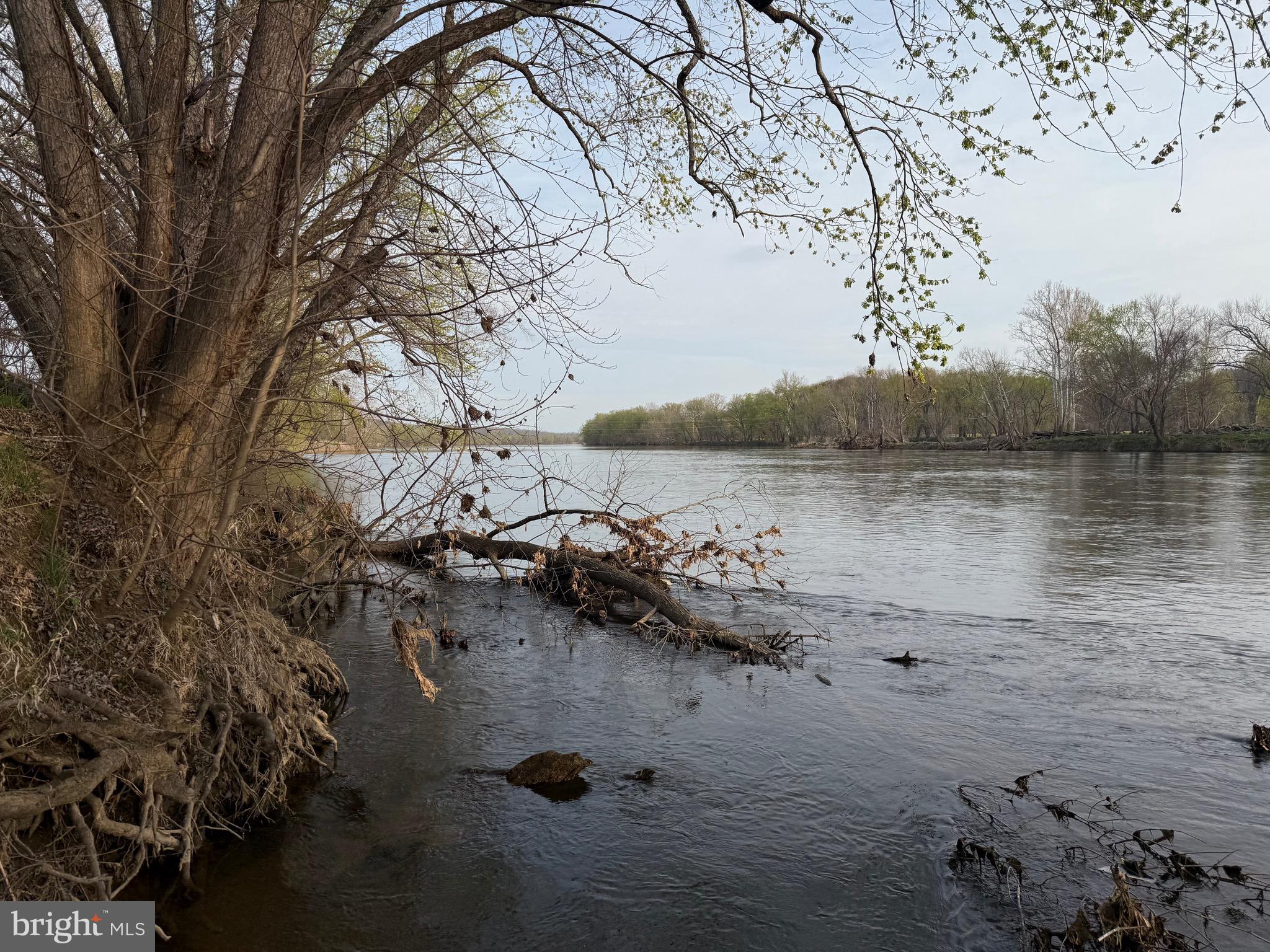 0 Paynes Pond Road Scottsville, VA 24590 - Photo 33 of 71