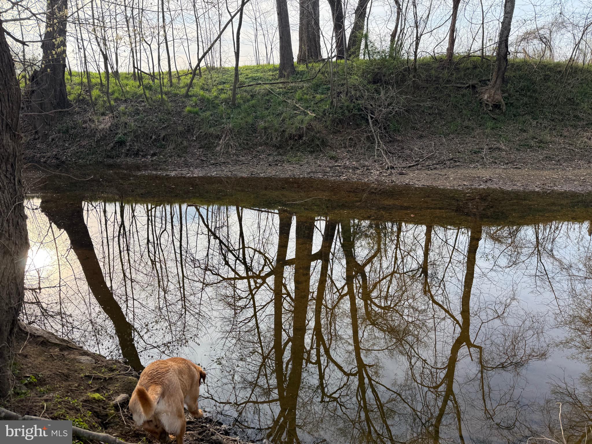 0 Paynes Pond Road Scottsville, VA 24590 - Photo 35 of 71